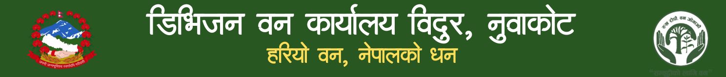 madhyapurthimimun